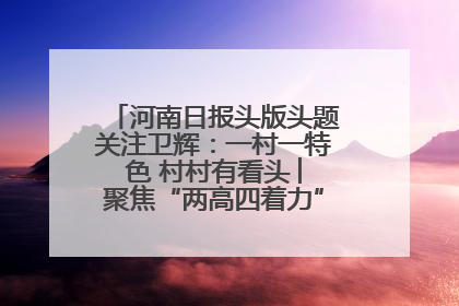 河南日报头版头题关注卫辉：一村一特色 村村有看头 ︳聚焦“两高四着力”·一“县”观察